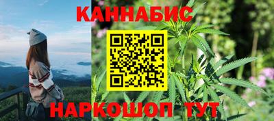 прущие грибы Будённовск