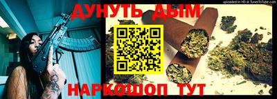 прущие грибы Будённовск