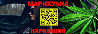 прущие грибы Будённовск