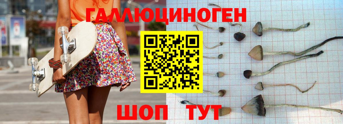 Галлюциногенные грибы прущие грибы  Галлюциногенные грибы Cubensis  Кызыл  Вход с VPN 