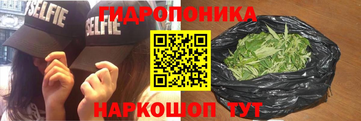 Конопля ГИДРОПОН Кызыл